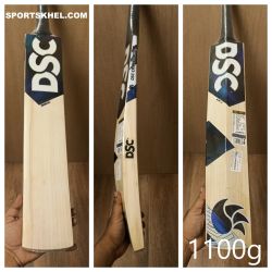 DSC Blak 222 English Willow Cricket Bat Size Men