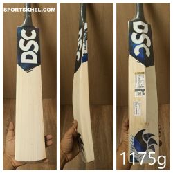 DSC Blak 200 English Willow Cricket Bat Size Men