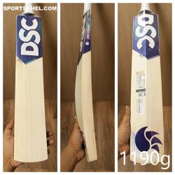 DSC Blu 200 English Willow Cricket Bat Size Men